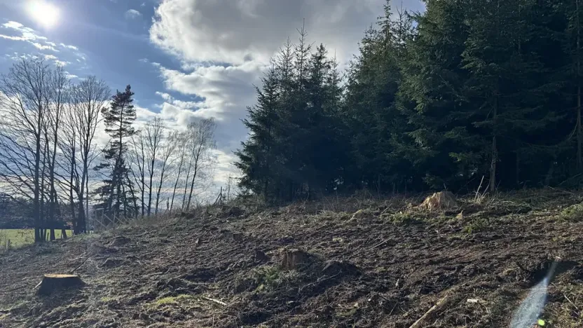 Prodej lesa, Pecka, 35108 m2