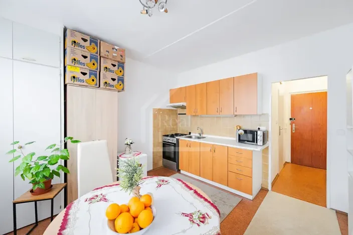 Prodej bytu 1+1, Rokycany, Pod Ohradou, 35 m2