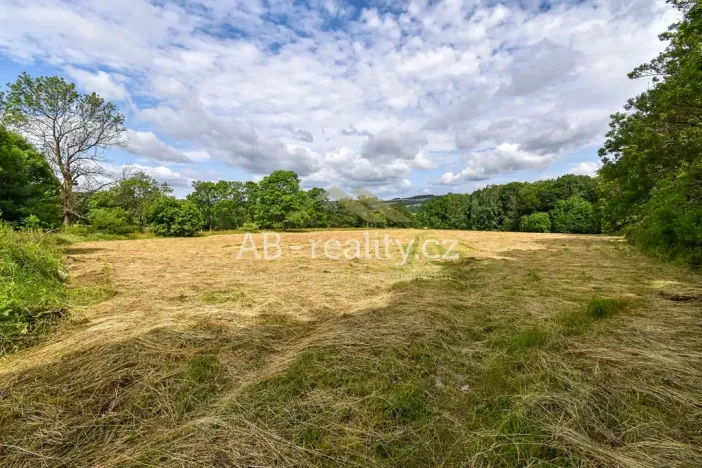 Prodej louky, Úštěk, 131865 m2