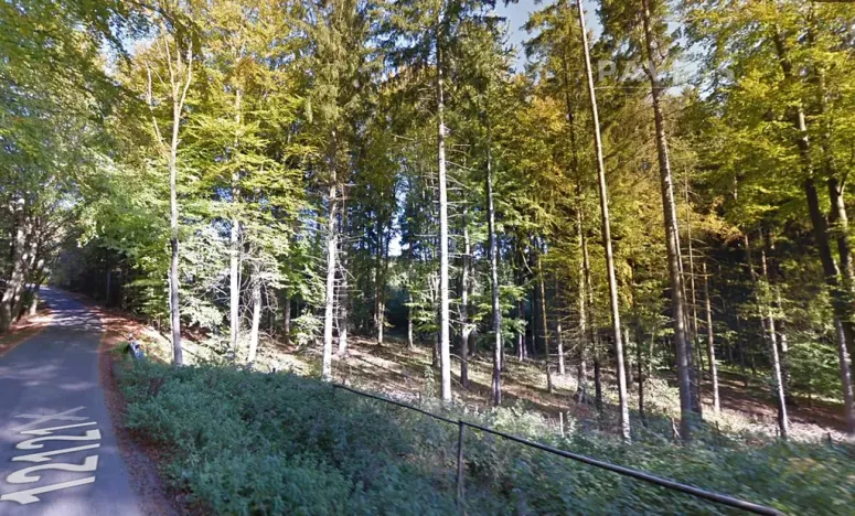 Prodej lesa, Branice, 82524 m2