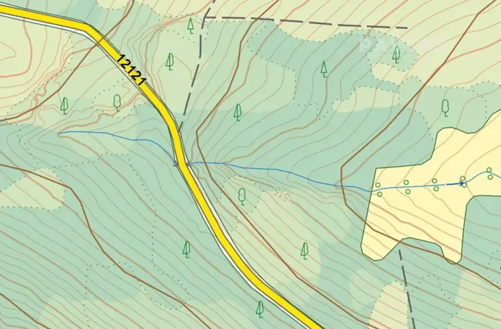 Prodej lesa, Branice, 82524 m2