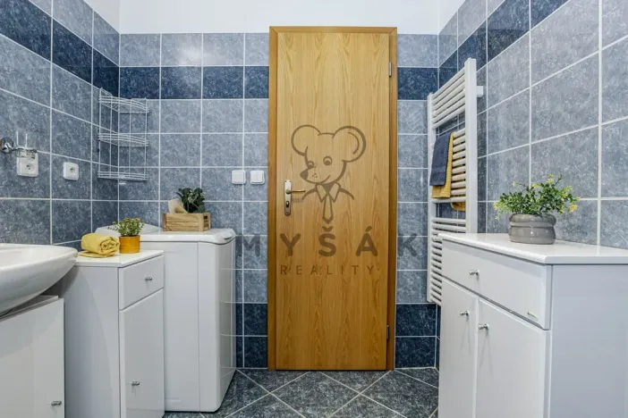 Pronájem bytu 2+kk, České Budějovice - České Budějovice 3, U Trojice, 54 m2