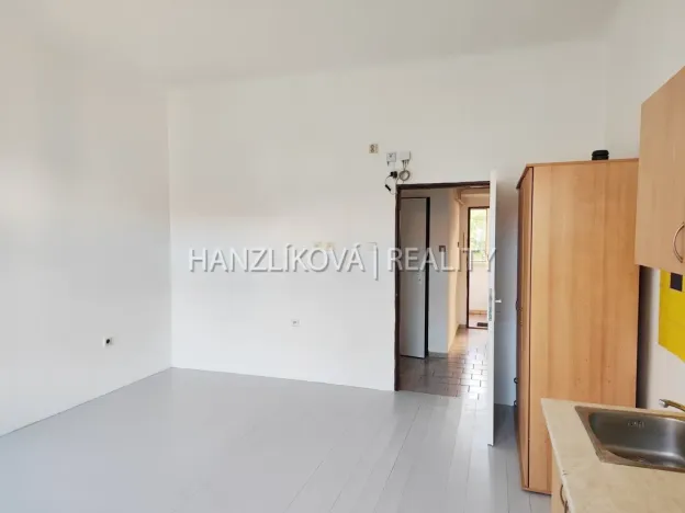 Pronájem bytu 1+kk, České Budějovice - České Budějovice 3, Jírovcova, 35 m2