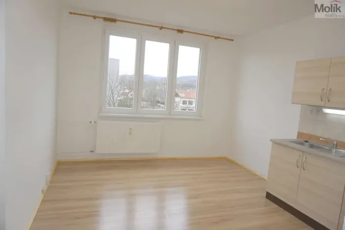 Pronájem bytu 1+1, Chomutov, Matěje Kopeckého, 36 m2