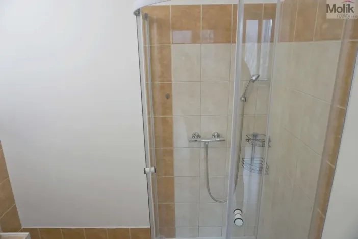 Pronájem bytu 1+1, Chomutov, Matěje Kopeckého, 36 m2