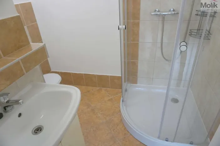 Pronájem bytu 1+1, Chomutov, Matěje Kopeckého, 36 m2