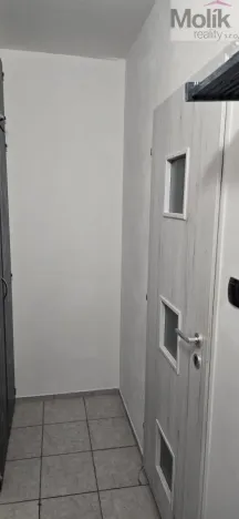 Pronájem bytu 1+1, Most, Višňová, 34 m2