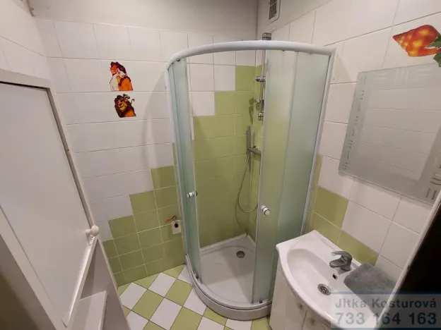 Prodej bytu 2+1, Krnov - Pod Cvilínem, SPC S, 55 m2