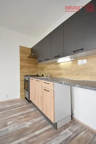 Pronájem bytu 1+1, Chomutov, Dřínovská, 35 m2