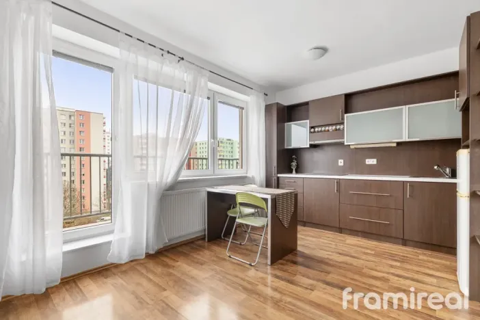 Pronájem bytu 1+kk, Brno, Čeňka Růžičky, 42 m2