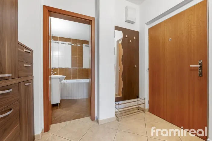 Pronájem bytu 1+kk, Brno, Čeňka Růžičky, 42 m2