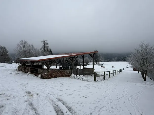 Prodej rodinného domu, Frymburk, 1140 m2