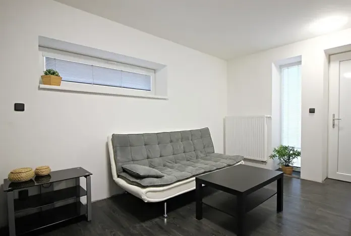 Pronájem bytu 1+kk, Brno, Jeneweinova, 36 m2