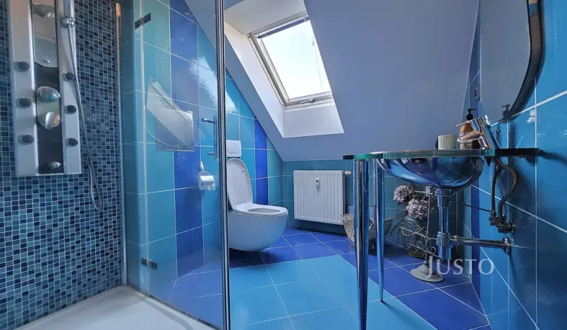 Prodej bytu 5+kk, Písek, Budějovická, 182 m2