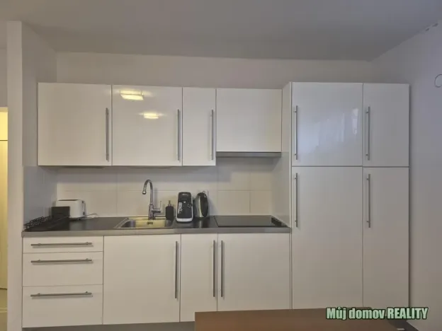 Pronájem bytu 1+kk, Praha - Vinohrady, Francouzská, 60 m2