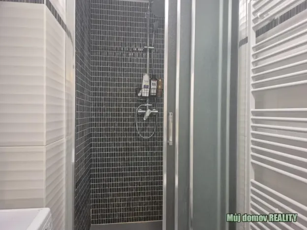 Pronájem bytu 1+kk, Praha - Vinohrady, Francouzská, 60 m2