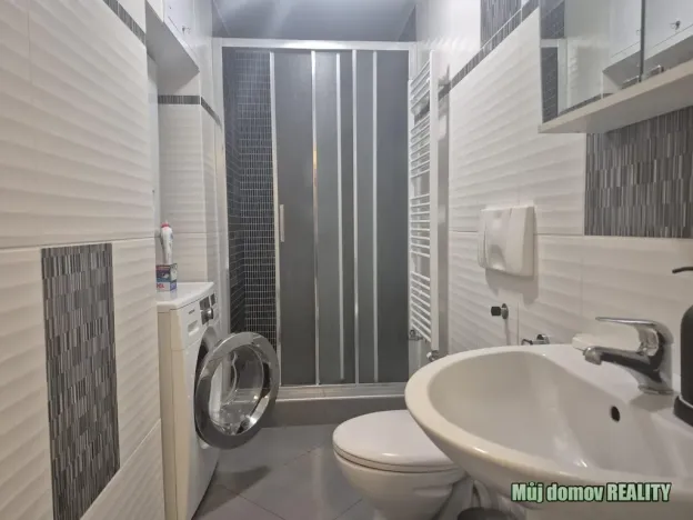 Pronájem bytu 1+kk, Praha - Vinohrady, Francouzská, 60 m2