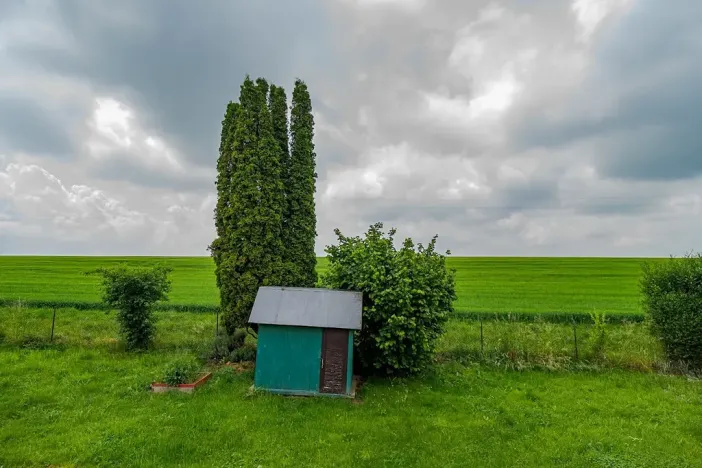 Prodej zemědělské usedlosti, Nová Sídla, 327 m2