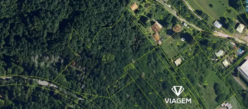 Prodej lesa, Veverská Bítýška, 8999 m2