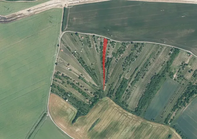 Prodej sadu/vinice, Svatobořice-Mistřín, 1492 m2