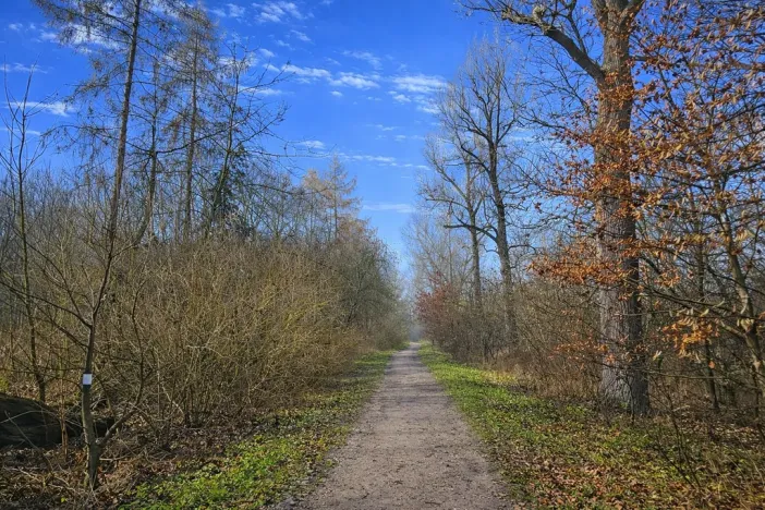 Prodej pozemku, 9079 m2