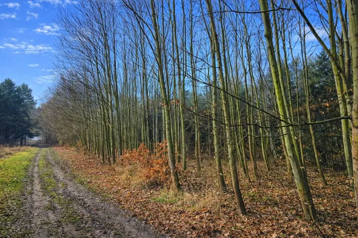 Prodej pozemku, 9079 m2