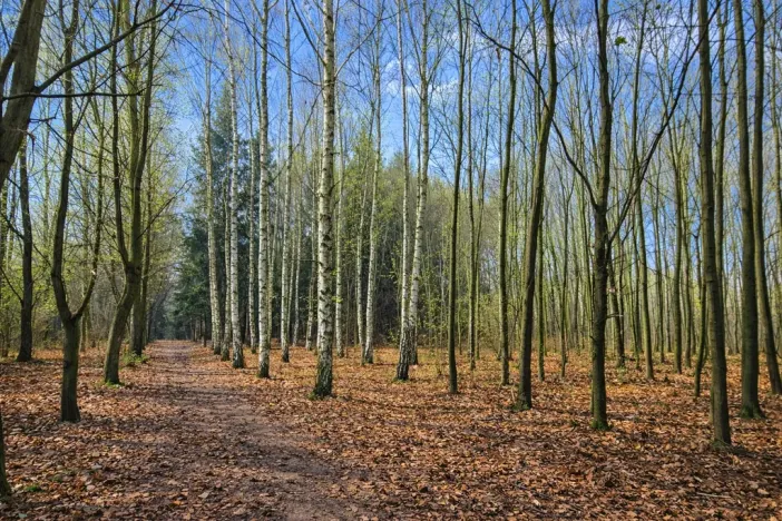 Prodej pozemku, 9079 m2