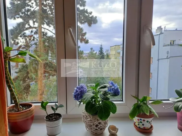 Pronájem bytu 2+kk, Praha - Nusle, U družstva Život, 60 m2