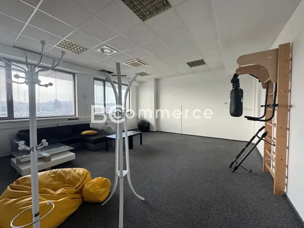 Pronájem kanceláře, Brno, 1020 m2