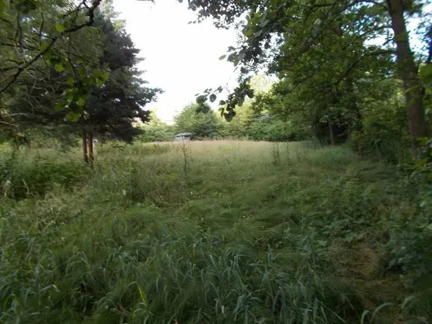 Prodej louky, Velký Šenov, 3266 m2