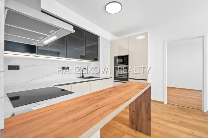 Pronájem bytu 3+kk, České Budějovice - České Budějovice 2, Branišovská, 80 m2