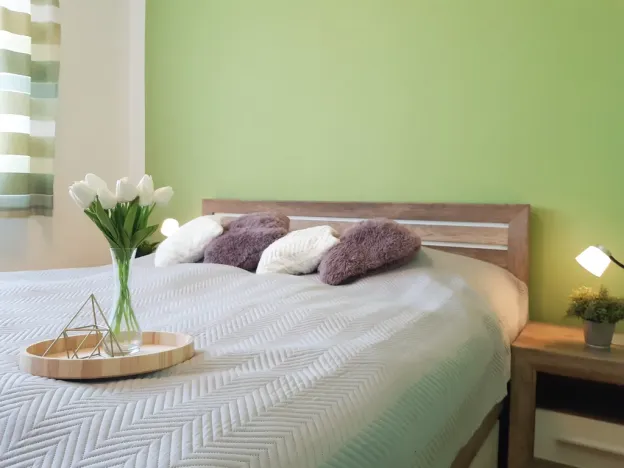 Pronájem bytu 2+kk, Olomouc - Nová Ulice, Okružní, 61 m2