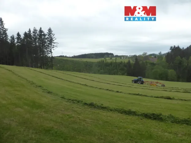 Prodej lesa, Vysoká Srbská, 26095 m2