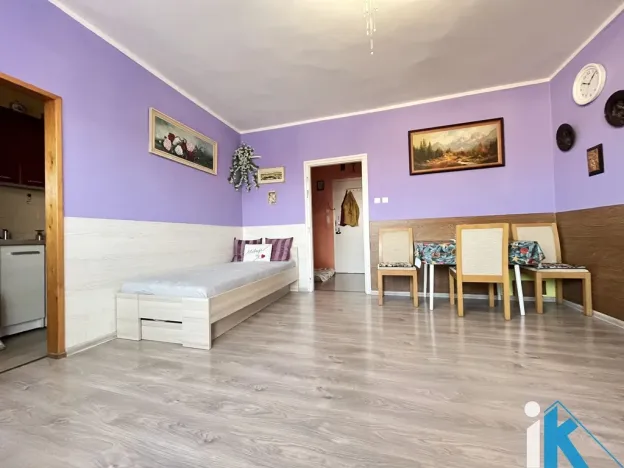 Prodej bytu 1+1, Prostějov, Raisova, 31 m2