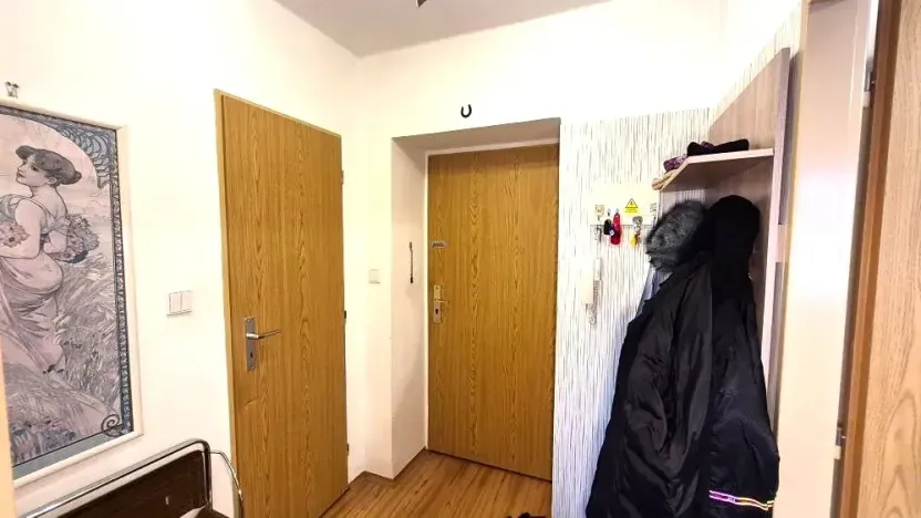 Prodej bytu 1+1, Dobříš, Březová, 31 m2