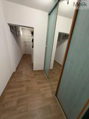 Prodej bytu 4+1, Karlovy Vary - Rybáře, Severní, 85 m2