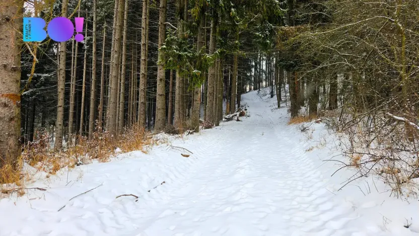 Prodej pozemku, Liptál, 17190 m2