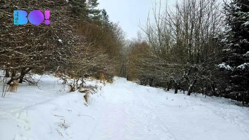 Prodej pozemku, Liptál, 17190 m2