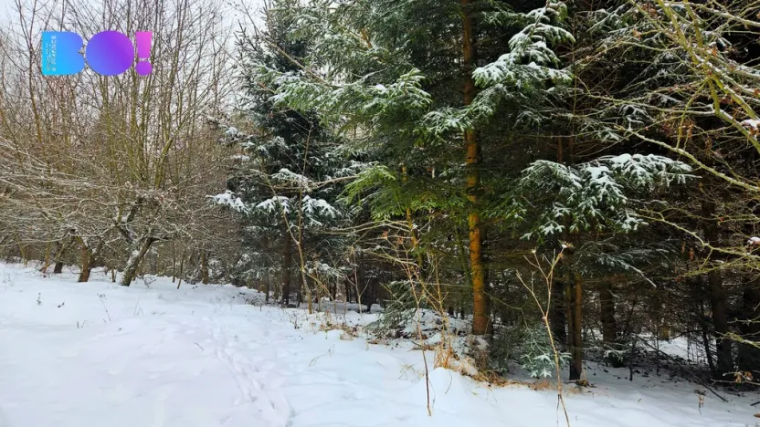 Prodej pozemku, Liptál, 17190 m2