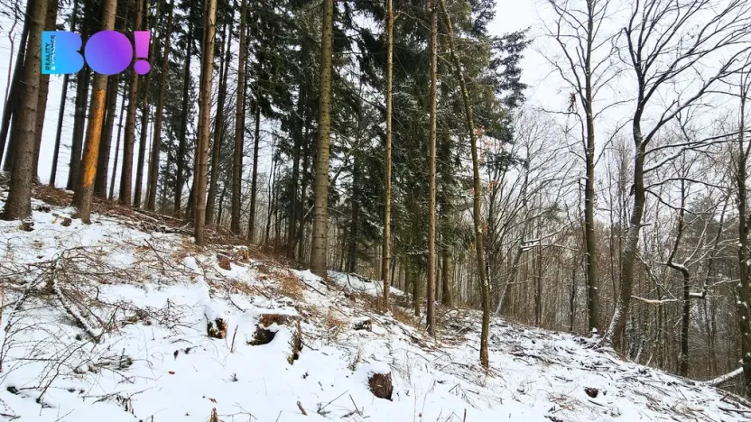 Prodej pozemku, Liptál, 17190 m2