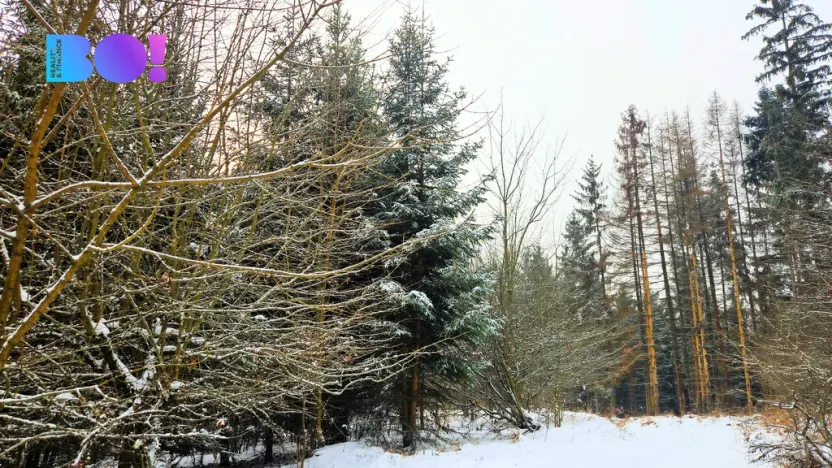 Prodej pozemku, Liptál, 17190 m2