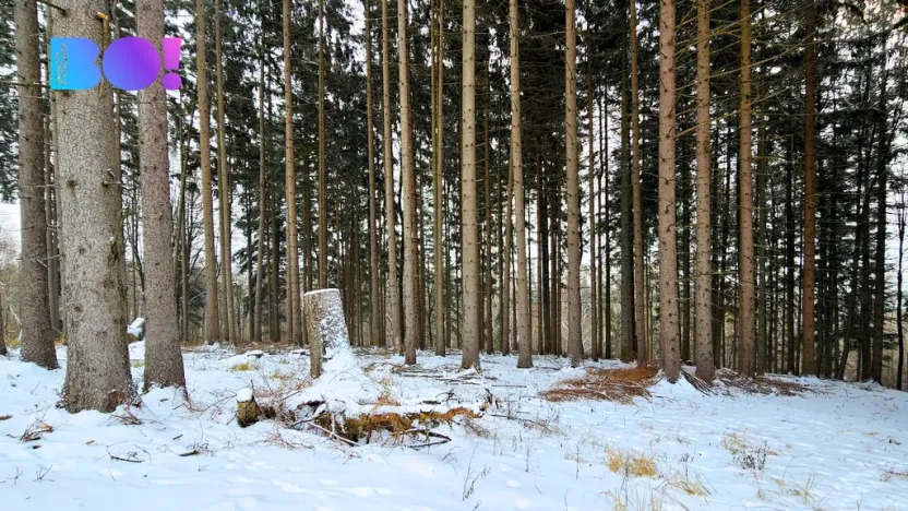 Prodej pozemku, Liptál, 17190 m2