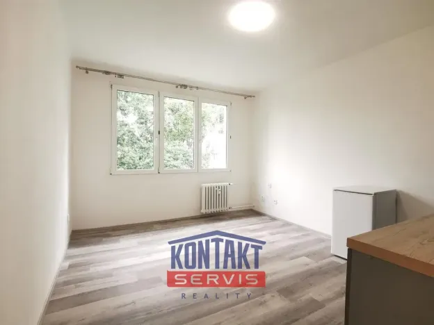 Pronájem bytu 1+kk, České Budějovice - České Budějovice 3, Plzeňská, 21 m2