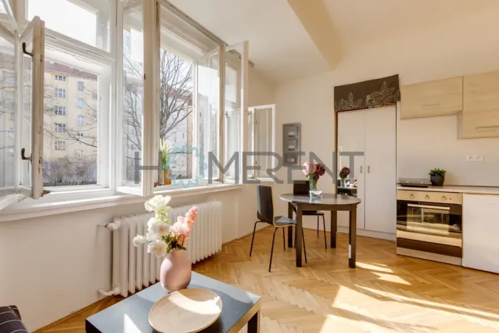 Pronájem bytu 1+kk, Praha - Nusle, Svatoslavova, 27 m2