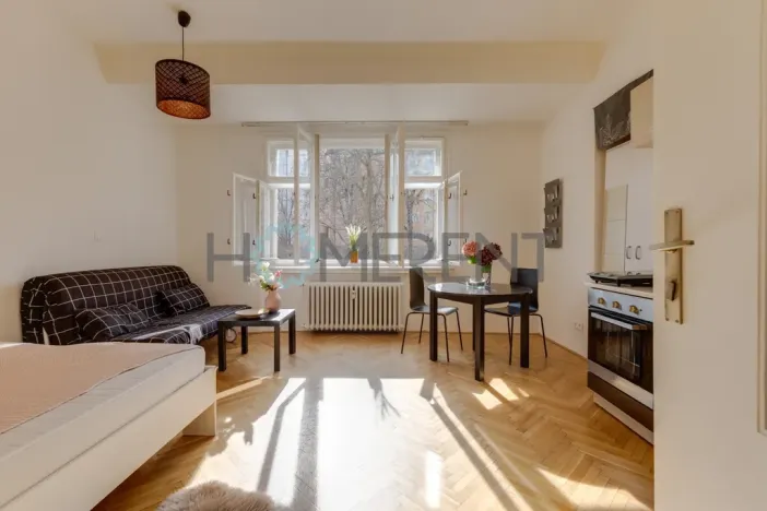 Pronájem bytu 1+kk, Praha - Nusle, Svatoslavova, 27 m2