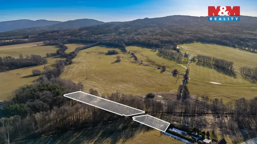 Prodej louky, Dětřichov, 4178 m2