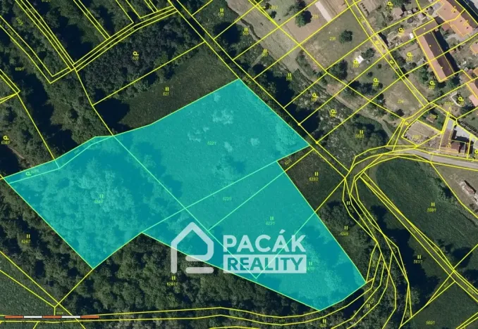 Prodej louky, Radslavice, 11368 m2