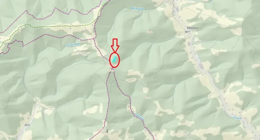 Prodej podílu lesa, Halenkov, 1840 m2