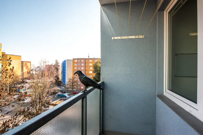 Prodej bytu 3+1, Česká Lípa, Dlouhá, 75 m2