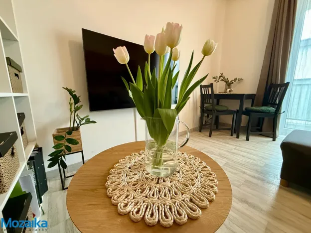 Pronájem bytu 1+kk, Lanškroun - Žichlínské Předměstí, Palackého, 37 m2